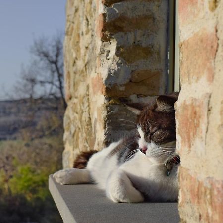Podere Paradiso Villa Magione Eksteriør billede