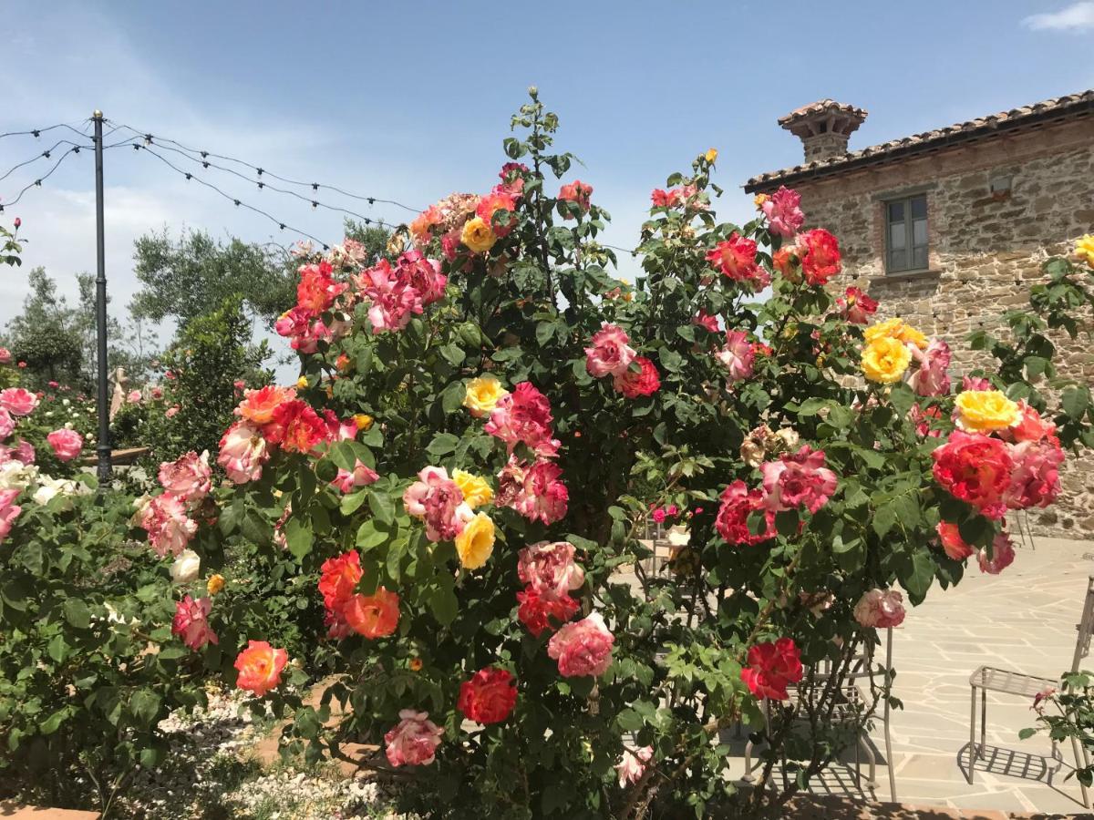 Podere Paradiso Villa Magione Eksteriør billede