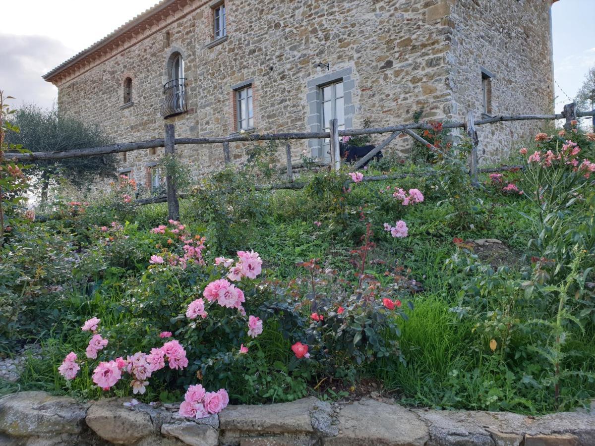 Podere Paradiso Villa Magione Eksteriør billede
